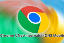 chorme //net-internals/#dns