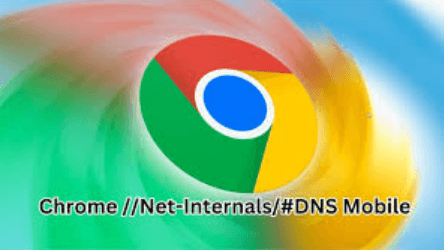 chorme //net-internals/#dns