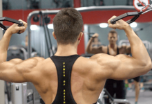 wellhealthorganic.com : how to gain muscle @ well health organic