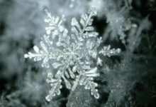 clipart:5cxcar4yoms= snowflake