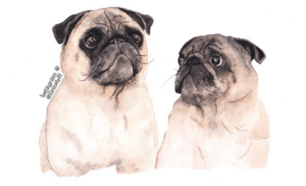 Clipart:2mooyhv3svg= Pug Drawing