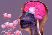 Olfactory Fatigue Is When a Person