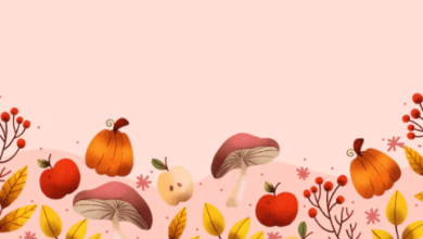 Cute:9c0pqtepvsq= Fall Wallpaper