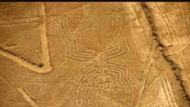 Outline:0rldijypkju= Nazca Lines