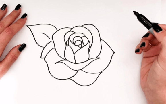 Outline:5lvuzffno7u= Rose Drawings