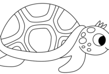 Outline:08s0y8uj6n8= Turtle Clipart