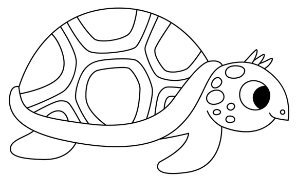 Outline:08s0y8uj6n8= Turtle Clipart