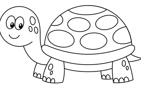 Outline:08s0y8uj6n8= Turtle Clipart