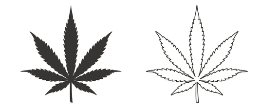 Outline:8gb3ndtdoqy= Weed Leaf