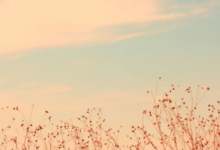 Pinterest:-1c6ukol-E0= Laptop Wallpaper