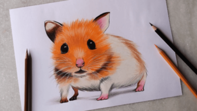 Drawing:K7otkxxtlgi= Hamster