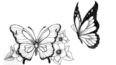 Drawing:3asdnt3yvm0= Butterflies