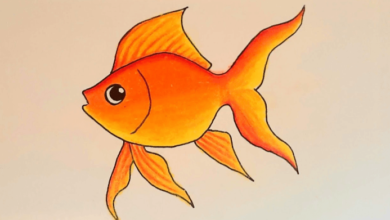 Drawing:6xb3lkbucxu= Gold Fish