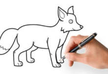 Easy:_Eq0_Xc1hm4= How to Draw a Fox