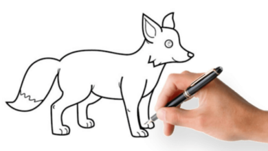 Easy:_Eq0_Xc1hm4= How to Draw a Fox