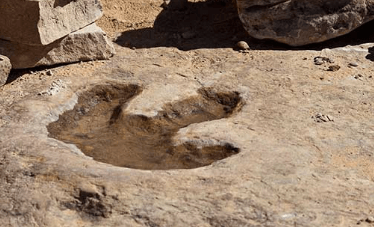 Clipart:2tvuoddzcb0= Dinosaur Footprint