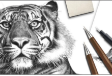Cool:92gbuagxunc= Easy:92gbuagxunc= Drawings