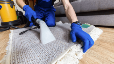 Carpet Cleaning Services