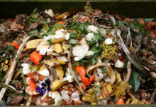 Clipart:-Mauyvexujo= Food Waste