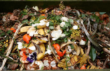 Clipart:-Mauyvexujo= Food Waste