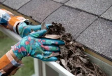 Gutter Cleaning Services to Prevent Water Damage and Blockages