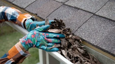 Gutter Cleaning Services to Prevent Water Damage and Blockages