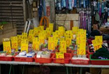 emerging product market opportunities