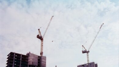 market growth and analysis