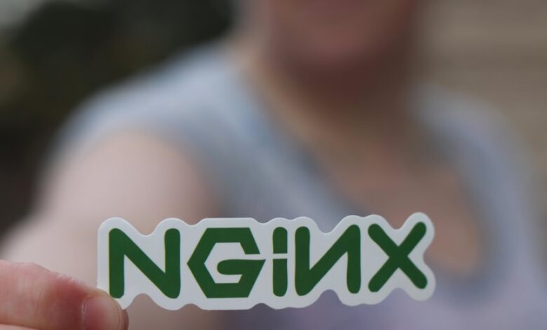 professional web system efficiency identifier