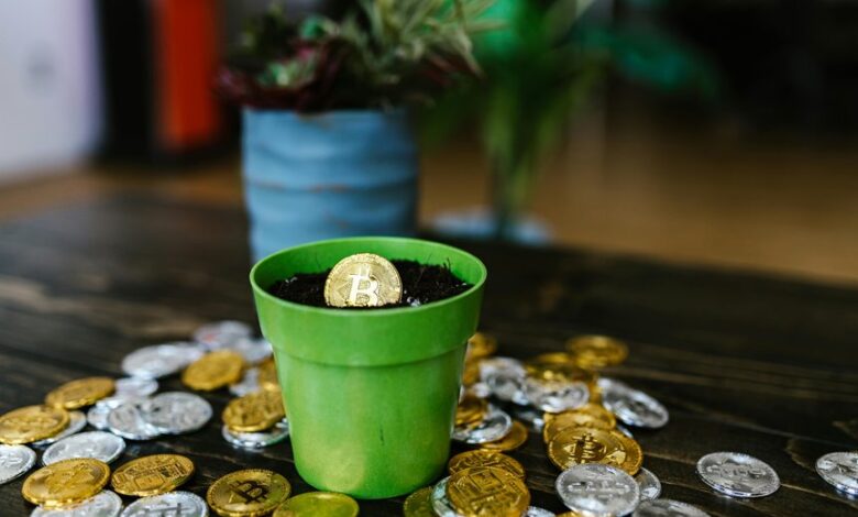 quantum drive activation unlocks potential