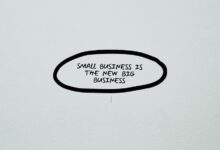 smart web network growth identifier