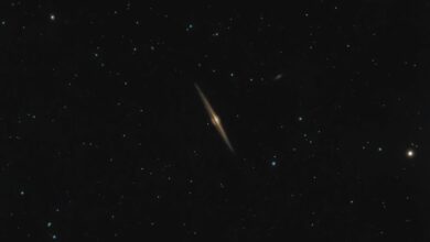 stellar edge start driving