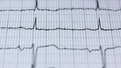 stellar pulse start announcement