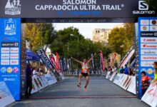 trailblazing momentum driving innovation