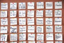 visionary apex across fields