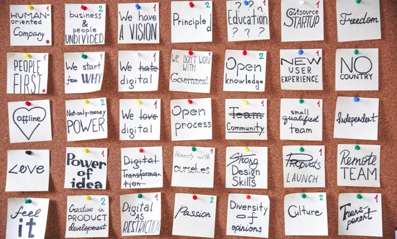 visionary apex across fields