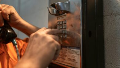 caller intelligence portal reveal signals