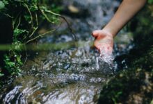 digital contact discovery stream