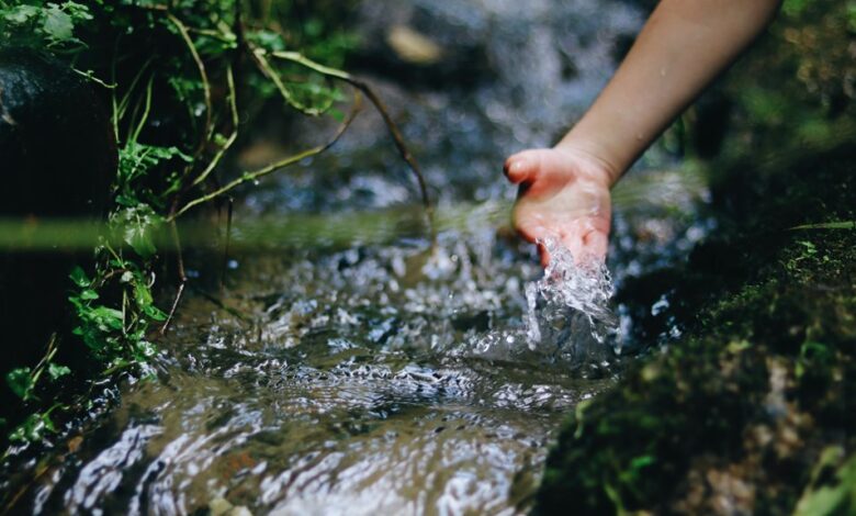 digital contact discovery stream