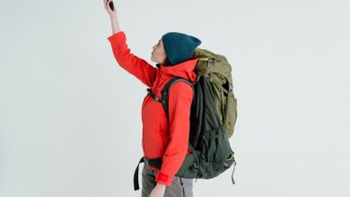 phone signal research engine privacy reveal