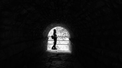 smart trace discovery portal