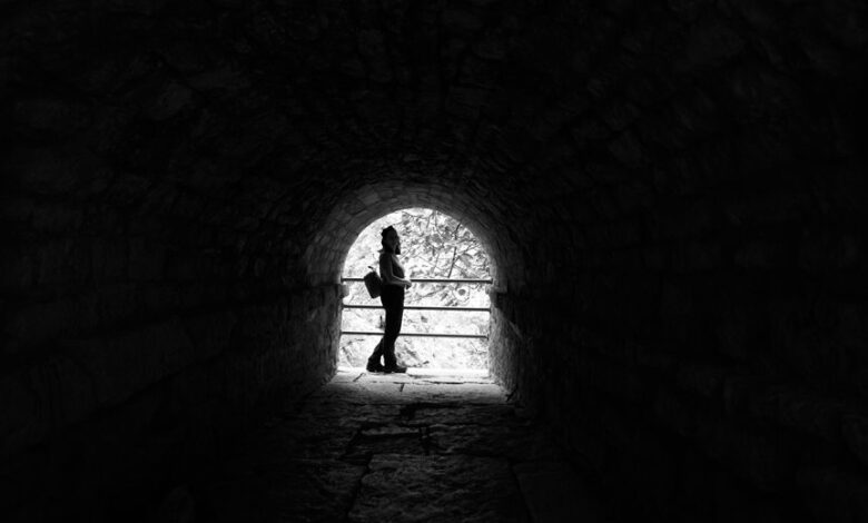 smart trace discovery portal