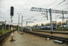 verified contact discovery hub reveals caller signals