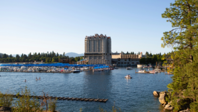 Remote and In-Person Court Reporting in Coeur d’Alene by NAEGELI Deposition & Trial