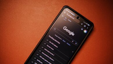 phone number search reports for five numbers