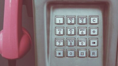 public number registry access