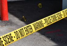 registry entries reveal investigations
