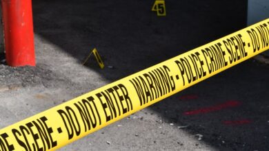 registry entries reveal investigations