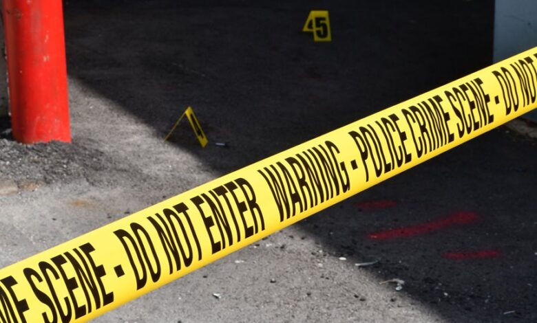 registry entries reveal investigations