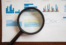 review number registry insights specific ids